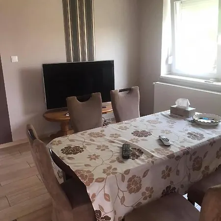 Csikos